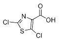 2,5-二氯噻唑-4-羧酸